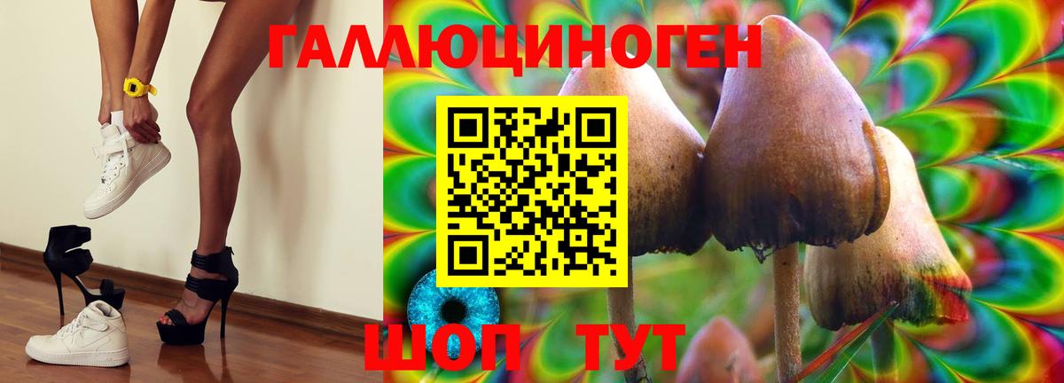 Псилоцибиновые грибы ЛСД  Галлюциногенные грибы мицелий  Вход с VPN  Костомукша 